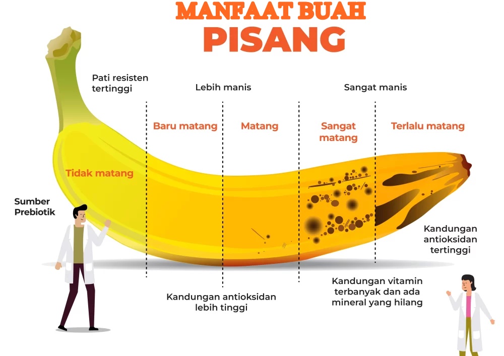 MANFAAT BUAH PISANG